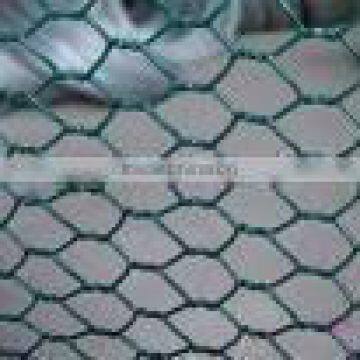 Hexagonal wire netting