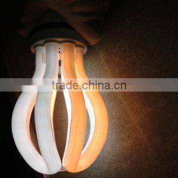 Dual energy saving lamps for plant