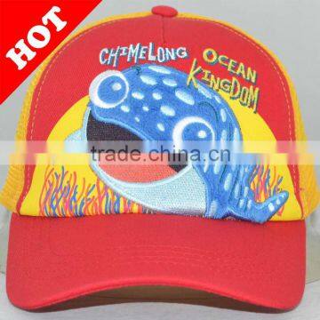 promotion cap/baseball cap/sport cap