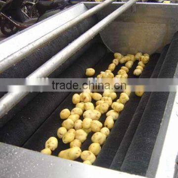 brush potato cleaning machine