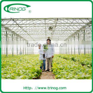 Buy vegetable greenhouse structure for pepper and tomato