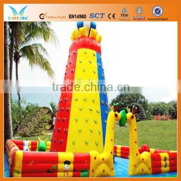 Used rock climbing wall for sale