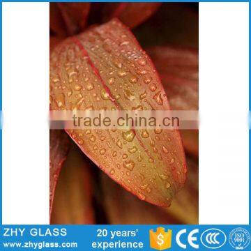 Digital Printing Customized Design Clear Sheet Glass Price