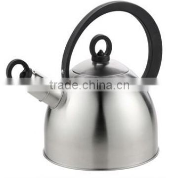 Pass DFA 430 Stainless steel kettle