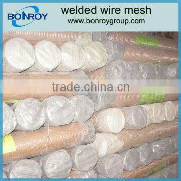 1/4" welded wire mesh