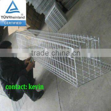 (Germany TUV Rheinland)3 or 4 layer(factory)hot dipped egg laying cages