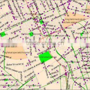 Saudi Arabia Digital Mapinfo Map ESRI shp format map