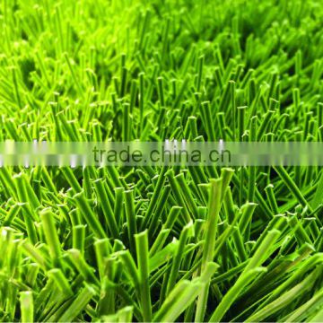 Soccer field grass