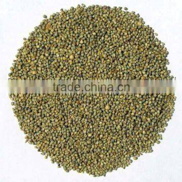 fresh green millets