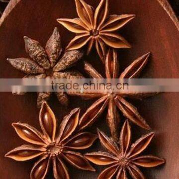 Vietnnam Hanfimex Star Anise (website: hanfimex08)