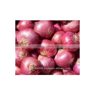 Fresh Onion photo-3