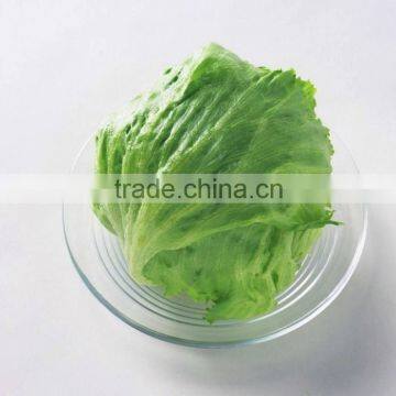 Yunnan Organic Vegetables Top Grade Lettuce on Sale Farm Planter on Sell photo-4
