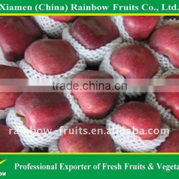 Chinese Fruits