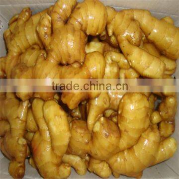 Fresh Ginger form Shandong province