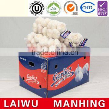 2016 normal white fresh garlic with good price