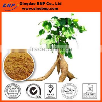 BNP Supply Best Natural Kudzu Root Extract