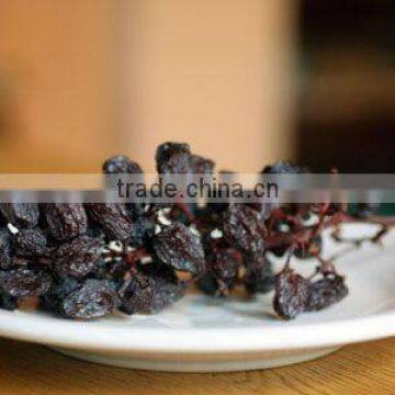 NEW CROP INDUSTRIAL RAISIN FROM INDIA