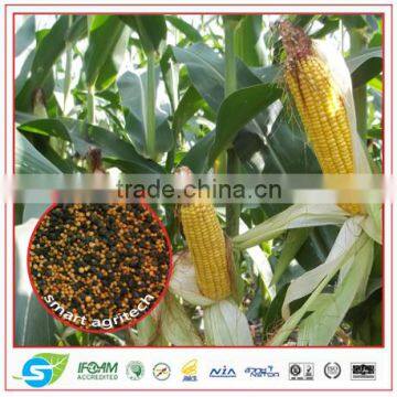 Organic Chemical fertilizer Macronutrient for Stem NPK 20-3-0 OM10%