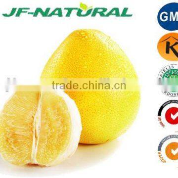 Grapefruit Powder ISO, GMP, HACCP, KOSHER, HALAL Certificated Manufacture photo-2