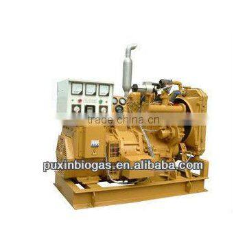 Professional and excellent 5000kw biogas electric generator