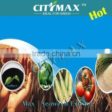 MAX Seaweed Extract for Sale