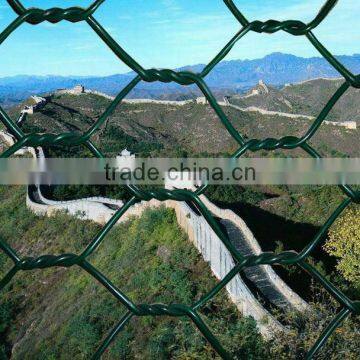 (30 Years Factory)Hexagonal Chicken Wire Mesh photo-3