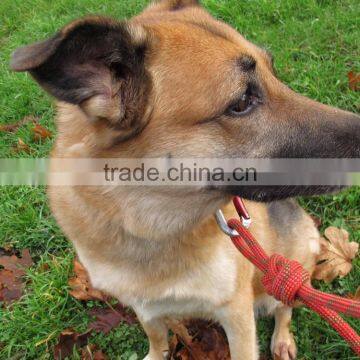 Recycled Climbing Rope & Carabiner Dog Leash - Red photo-2