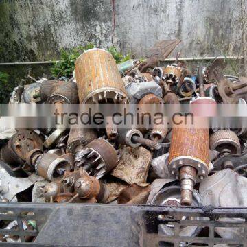 Manufacturer Supply Cheap Price Waste Motor Rotor Crusher photo-3