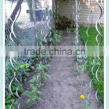 Grape Plant Growing Vegetable Support Spiral Wire photo-6