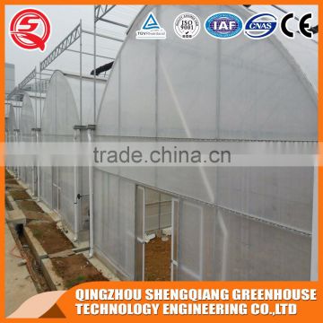 China supplier 9.6m multi-span plastic agriculture greenhouse for sale