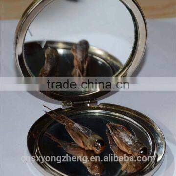 Pet Food Fish Food Freeze Dried Crickets photo-6