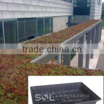 2014 Roof Greening on Building Vertical Garden