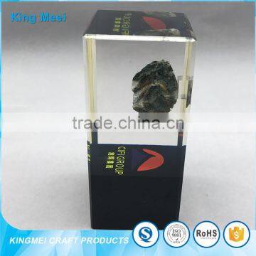 China Factory Cheap Desk Paperweight 3d Images in Acrylic photo-2
