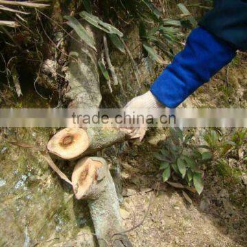 Best Seller and Biggest Amazon Supplier Small MOQ Outdoor Camping Pocket Hand Chain Survival Saw photo-5