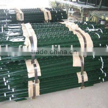 Studdened T-post and Y-post Painted 5 Feet 1.25lbs on Sale China Supplier photo-4
