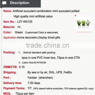 Artificial Succulent Combination Mini Succulent Potted High Quality Mini Artificial Catus photo-2