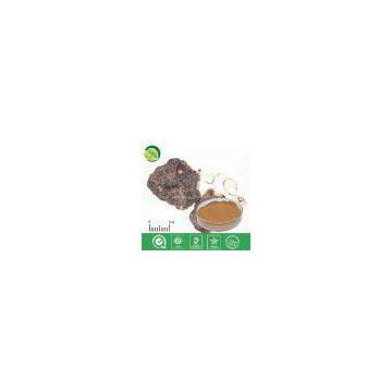 Polyporus Umbrellatus Extract