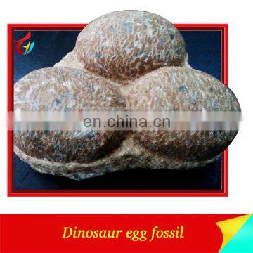 Cute And Life-like Dinosaur Egg