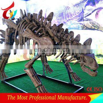 Museum Standard Life Size Dinosaur Skeleton model Replicas