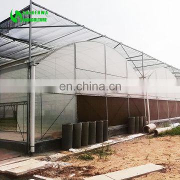 Low Price Professional Agricultural Reinforced Commercial Plastic Film Greenhouse/Garden Greenhouse