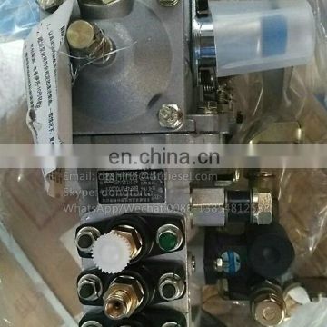 BHF4PM100001 For Yangchai YZ4102ZLQ Weifu original fuel pump 4PL1156 2100252