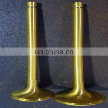 Generator Diesel Engine Parts Intake Exhaust Engine Valves for Deutz Diesel Engine 912 913 914 413 513 1013 1015 2011 1011 2012 photo-7