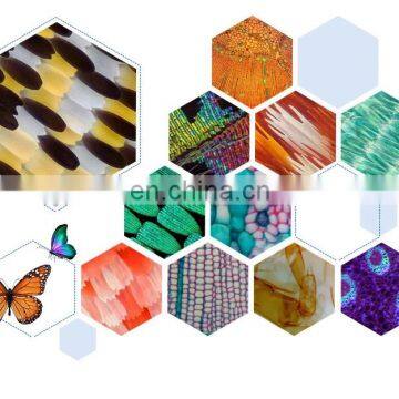 Low Price Simple Microscope With Monocular Head photo-5