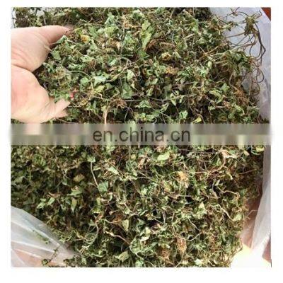 Cheapest price Centella Asiatica/High quality centella Asiatica dried leaves from Vietnam