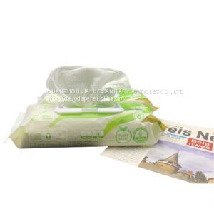 Best Price with Free Sample Professional OEM Cleaning Adult Wet Wipes