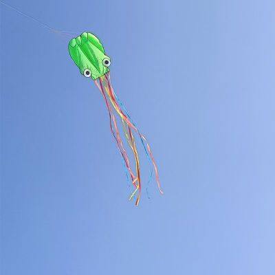 OEM Kites in allen Formen, Designs und Arten für Werbung und Veranstaltungsgelegenheiten