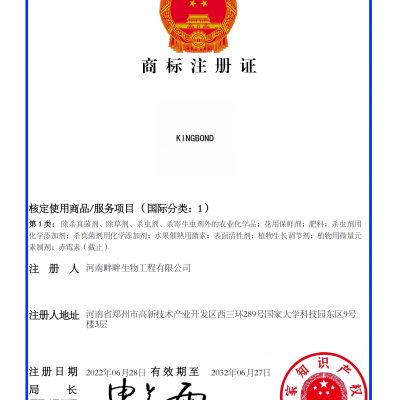 KINGBOND