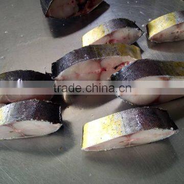 A Grade Frozen Mahi-mahi Steak and Coryphaena Hippurus photo-4