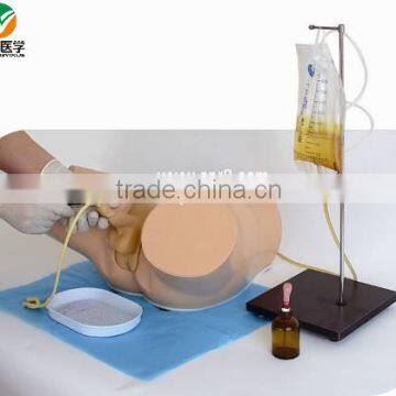 Electronic Male urethral catheterization simulator BIX-H2D/A