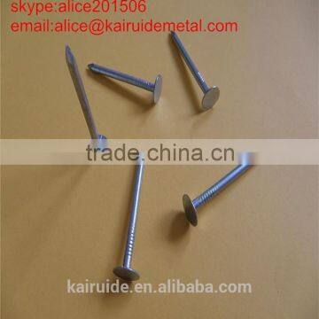 Factory High Quality Common Iron Wire Nail 1"-6"/stainless Common Iron Wire Nail photo-5